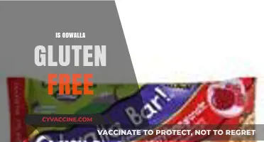 Is Odwalla Gluten-Free? A Complete Guide to Their Products