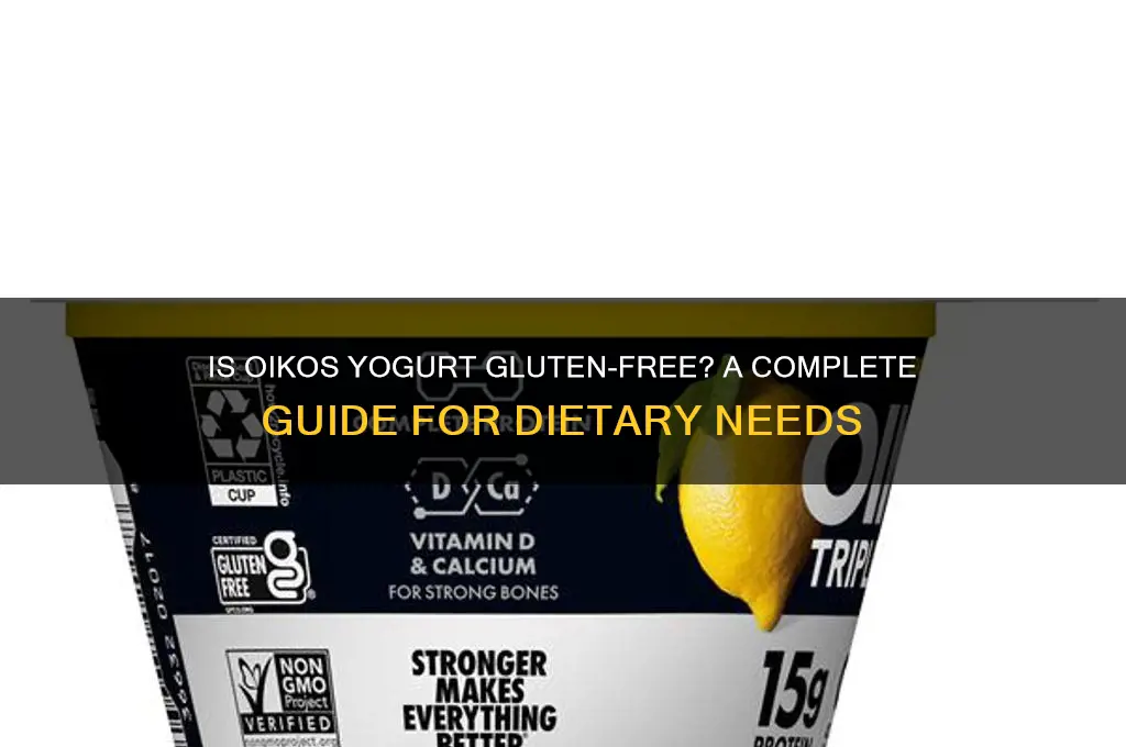 is oikos yogurt gluten free