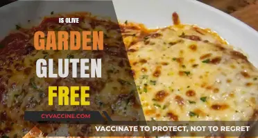 Is Olive Garden Gluten-Free? Exploring Menu Options for Celiac Diners