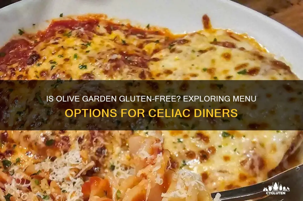 is olive garden gluten free