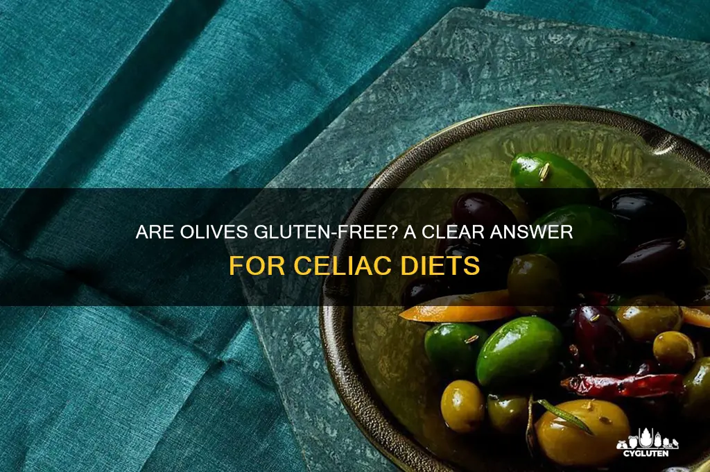 is olives gluten free