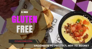 Is Onda Gluten-Free? A Comprehensive Guide to Onda's Ingredients