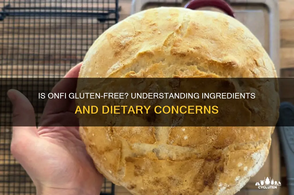 is onfi gluten free