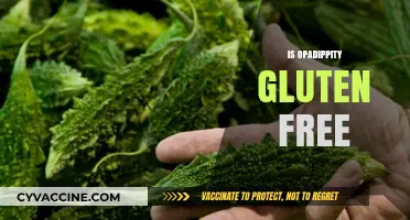 Is Opadippity Gluten Free? Uncovering the Truth for Dietary Needs