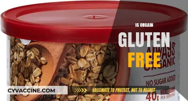 Is Orgain Gluten-Free? Uncovering the Truth About This Popular Brand