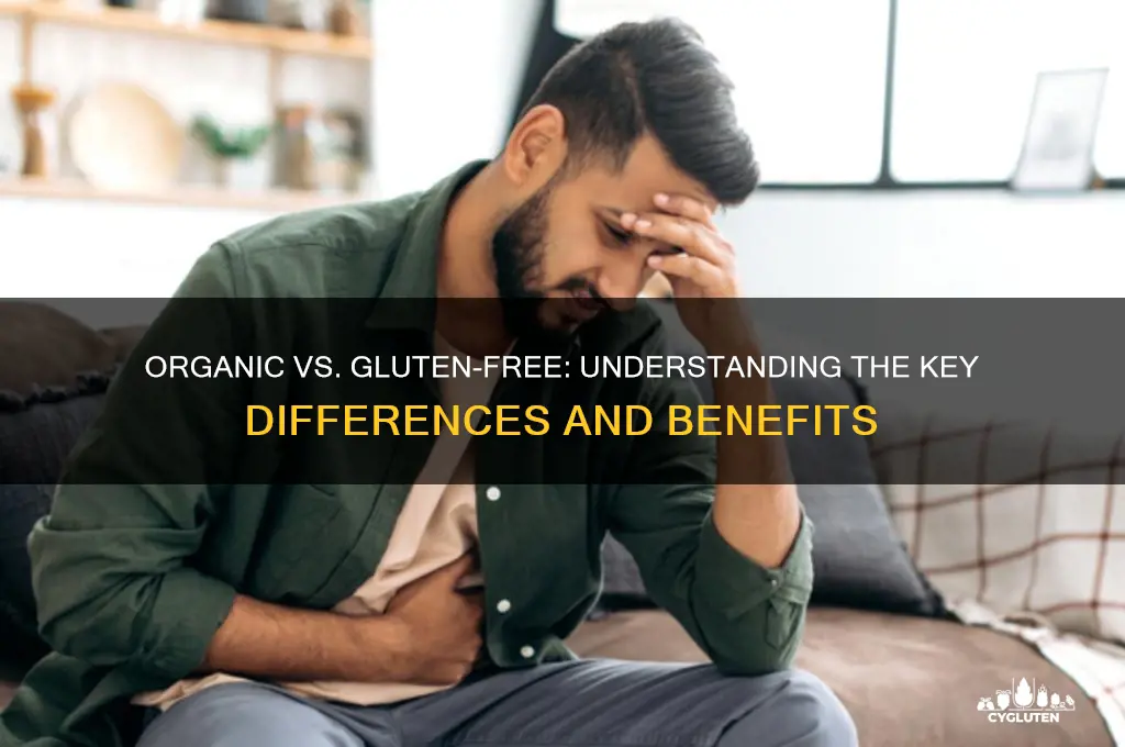 is organic gluten free