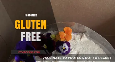 Is Organix Gluten-Free? Unraveling the Truth About Their Products