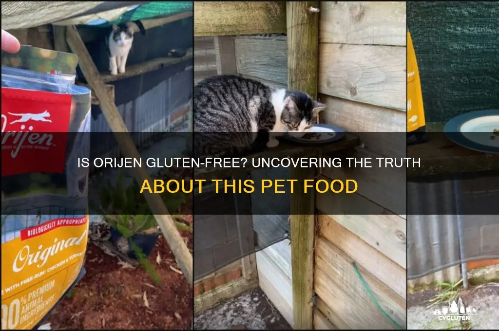 is orijen gluten free