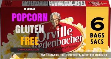 Is Orville Popcorn Gluten-Free? A Complete Guide for Snackers