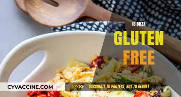 Is Orzo Gluten-Free? Unraveling the Truth About This Pasta