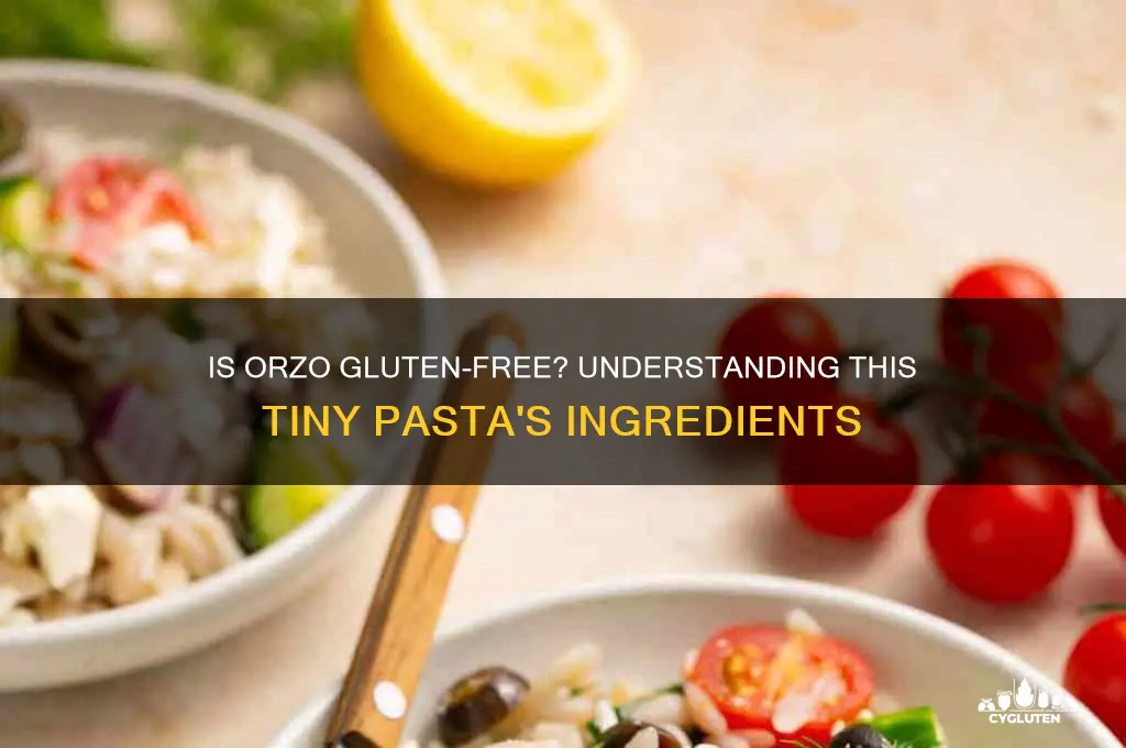 Is Orzo Gluten-Free? Understanding This Tiny Pasta's Ingredients | CyGluten