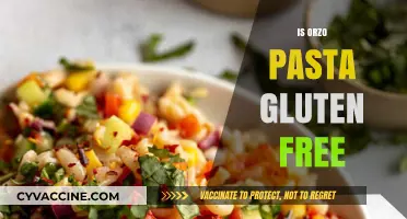 Is Orzo Pasta Gluten-Free? A Complete Guide for Celiac Diets