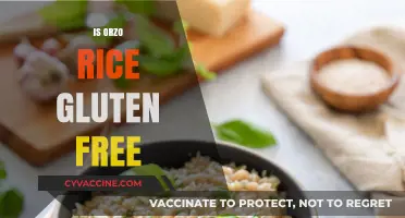 Is Orzo Rice Gluten-Free? Unraveling the Truth for Celiac Diets