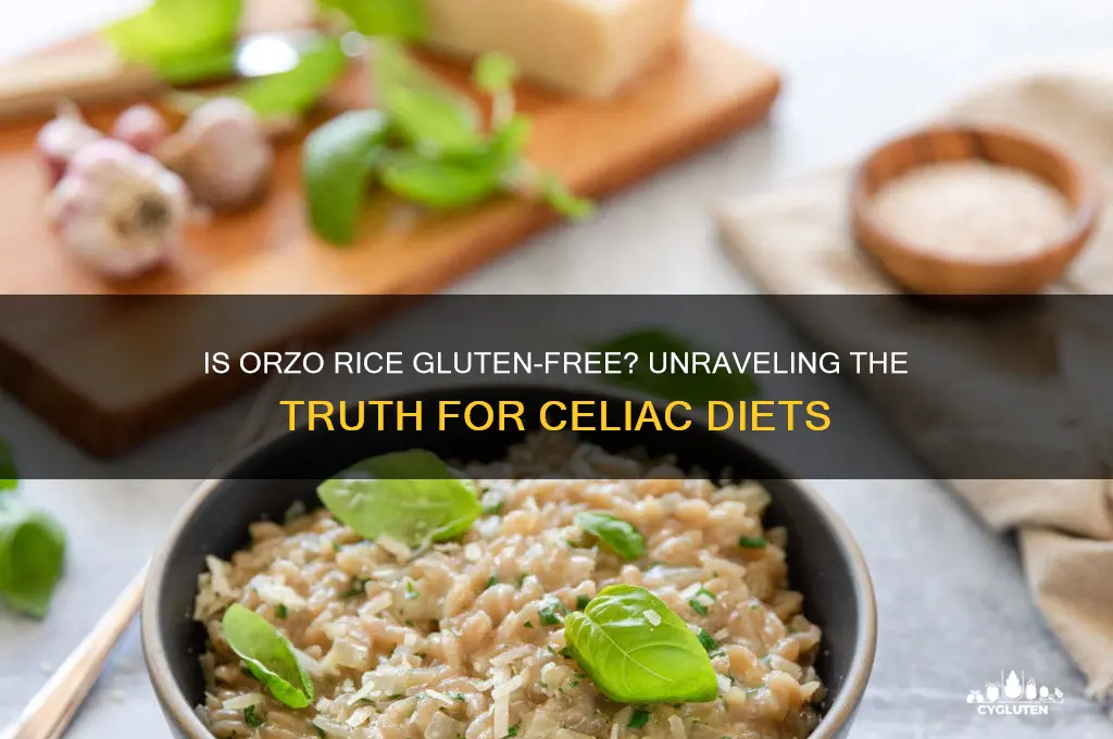 is orzo rice gluten free