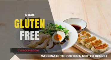 Is Osaka Gluten-Free? Exploring Japanese Cuisine for Celiac Travelers