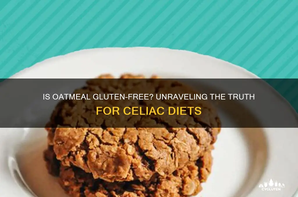 is ostmeal gluten free