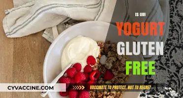 Is Oui Yogurt Gluten-Free? A Complete Guide for Dietary Needs