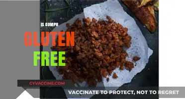 Is Oumph Gluten-Free? A Complete Guide to Its Ingredients