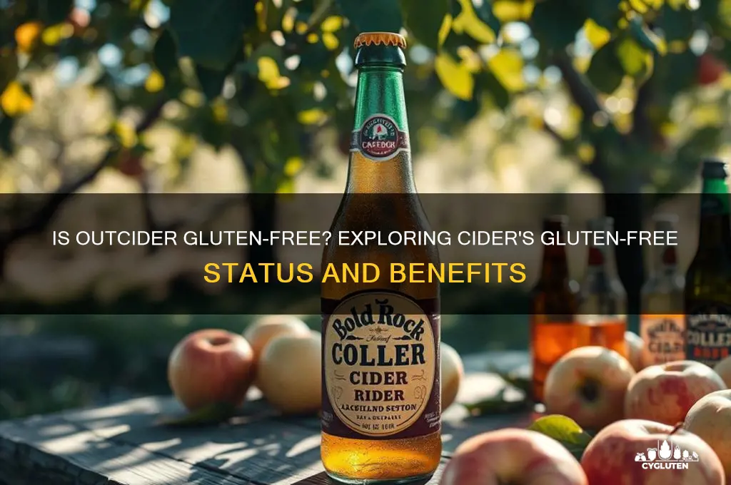 is outcider gluten free