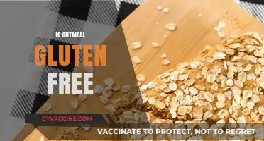 Is Oatmeal Gluten-Free? Understanding Oats and Celiac Safety