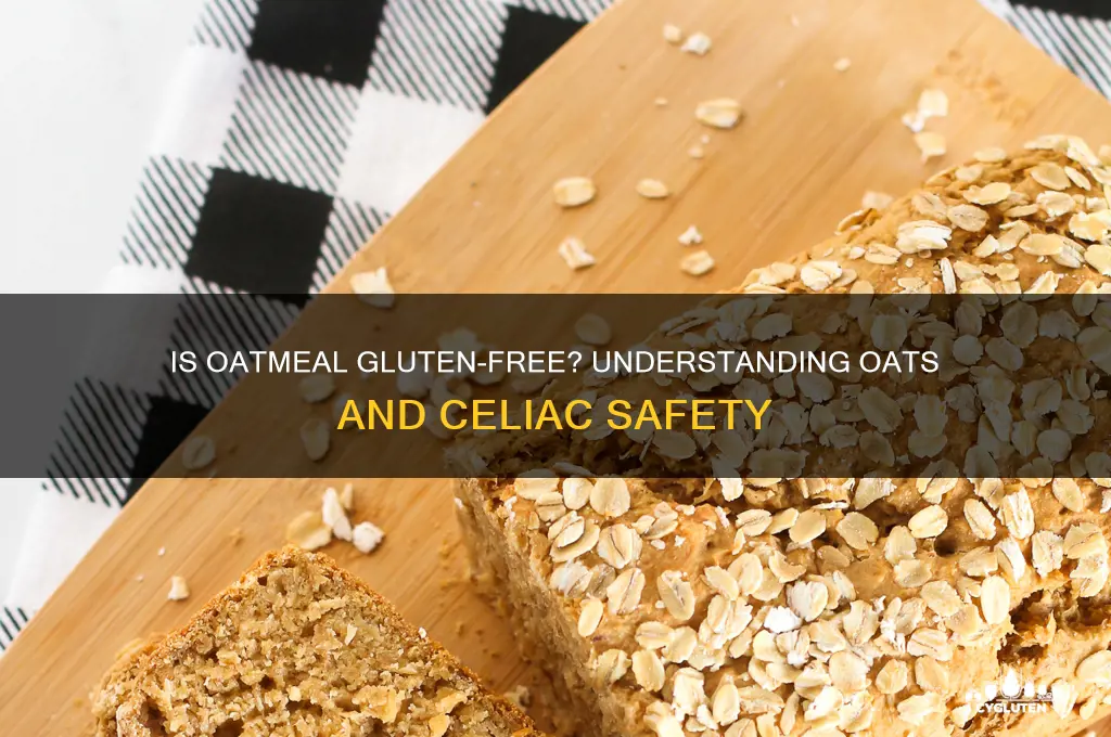 is outmeal gluten free