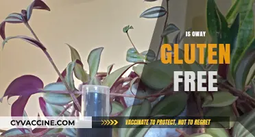 Is Oway Gluten Free? Uncovering the Truth About Oway Products