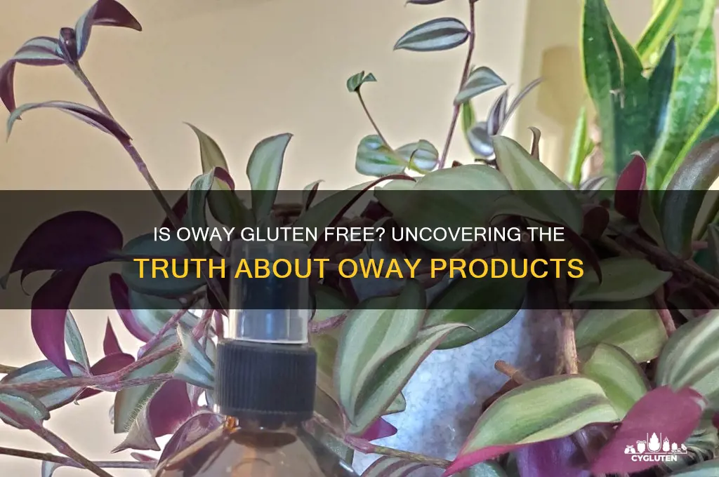 is oway gluten free