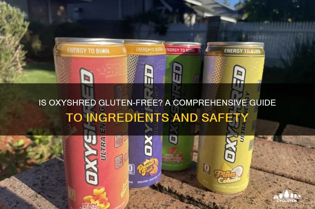 is oxyshred gluten free