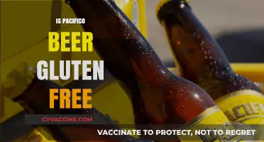Is Pacifico Beer Gluten-Free? Exploring the Mexican Lager's Ingredients