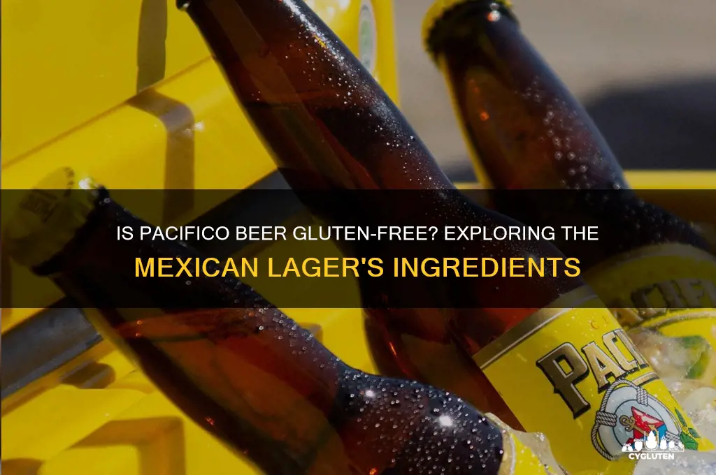 is pacifico beer gluten free
