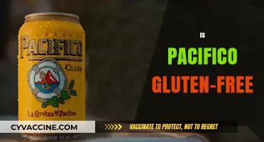 Is Pacifico Gluten-Free? Exploring the Beer's Ingredients and Safety