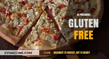 Is Pagliacci Pizza Gluten-Free? A Detailed Look at Their Menu