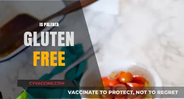 Is Palenta Gluten-Free? Unraveling the Truth for a Healthy Diet