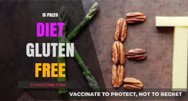 Paleo Diet and Gluten: Understanding the Naturally Gluten-Free Connection