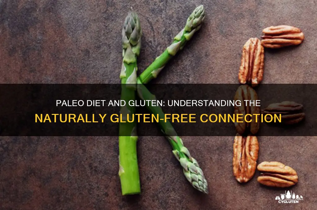 is paleo diet gluten free