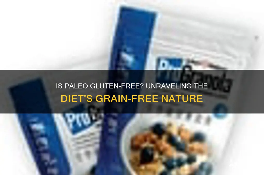 is paleo gluten-free