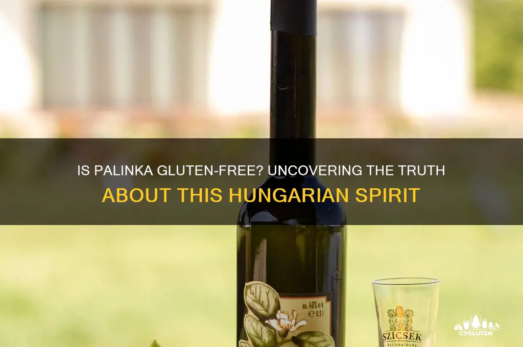 is palinka gluten free