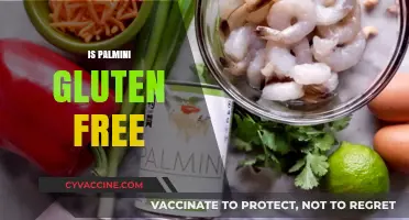 Is Palmini Gluten-Free? A Comprehensive Guide to This Low-Carb Alternative