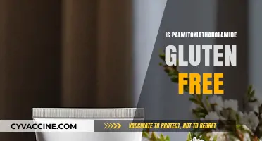 Is Palmitoylethanolamide Gluten-Free? Understanding Its Ingredients and Safety