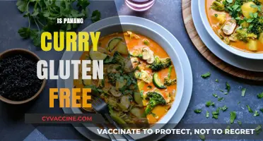 Is Panang Curry Gluten Free? A Complete Guide for Foodies