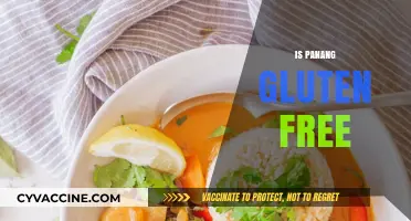 Is Panang Curry Gluten-Free? A Complete Guide for Food Lovers
