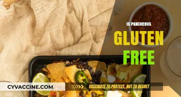 Is Pancheros Gluten-Free? Exploring Menu Options for Celiac Diners