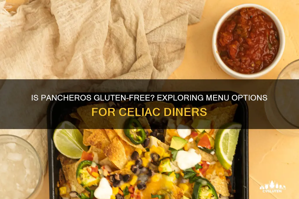 is pancheros gluten free