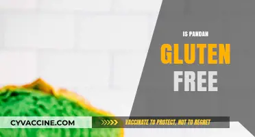 Is Pandan Gluten Free? Exploring Its Safety for Celiac Diets