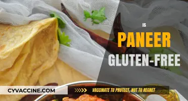 Is Paneer Gluten-Free? A Comprehensive Guide to Your Dietary Concerns