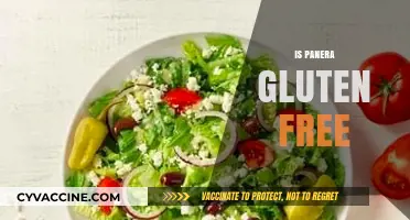 Is Panera Gluten-Free? Exploring Menu Options for Celiac Diners