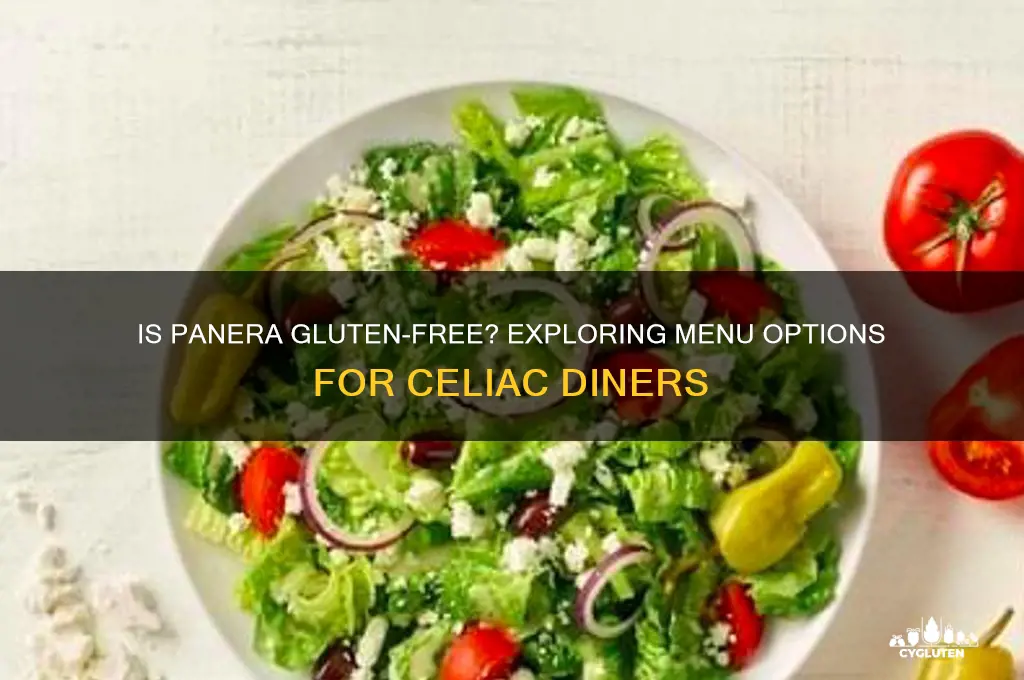 is panera gluten free