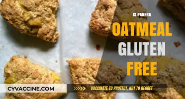 Is Panera Oatmeal Gluten-Free? A Complete Guide for Celiac Diners