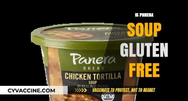 Is Panera Soup Gluten-Free? A Complete Guide to Safe Options