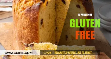 Is Panettone Gluten-Free? Exploring Traditional Recipes and Alternatives